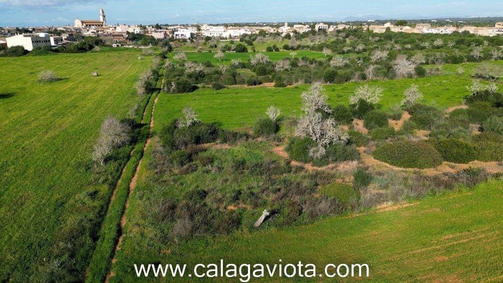 Grond te koop in Ses Salines - € 480.000 (Ref: 8894896)