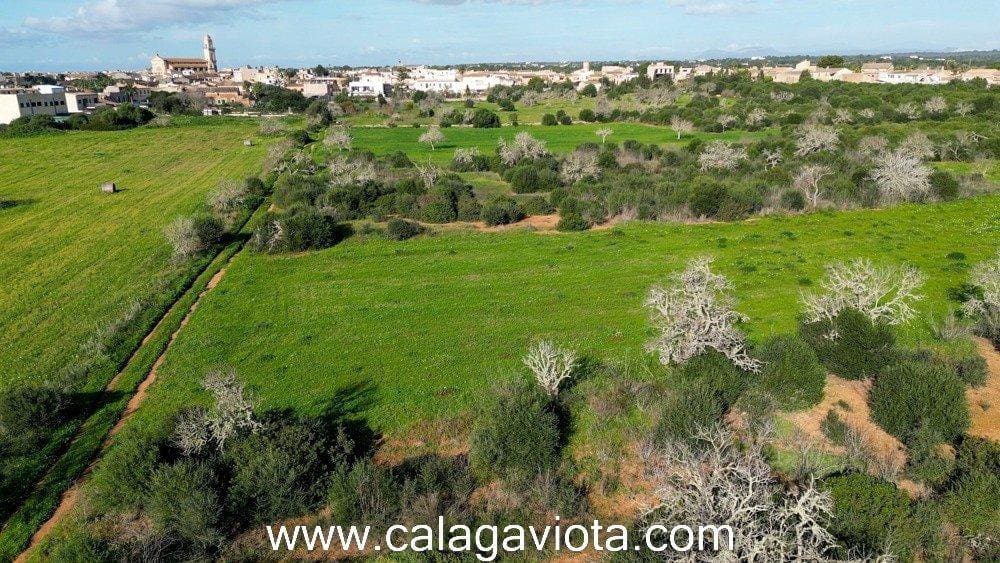 Grond te koop in Ses Salines - € 480.000 (Ref: 8894896)