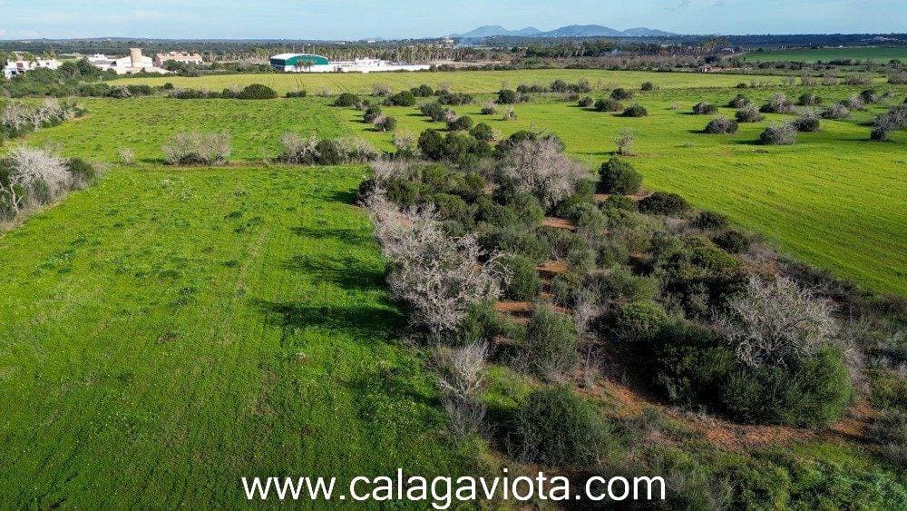 Grond te koop in Ses Salines - € 480.000 (Ref: 8894896)