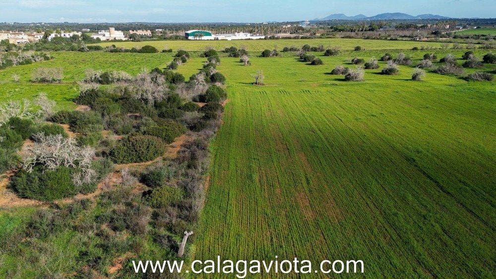 Grond te koop in Ses Salines - € 480.000 (Ref: 8894896)