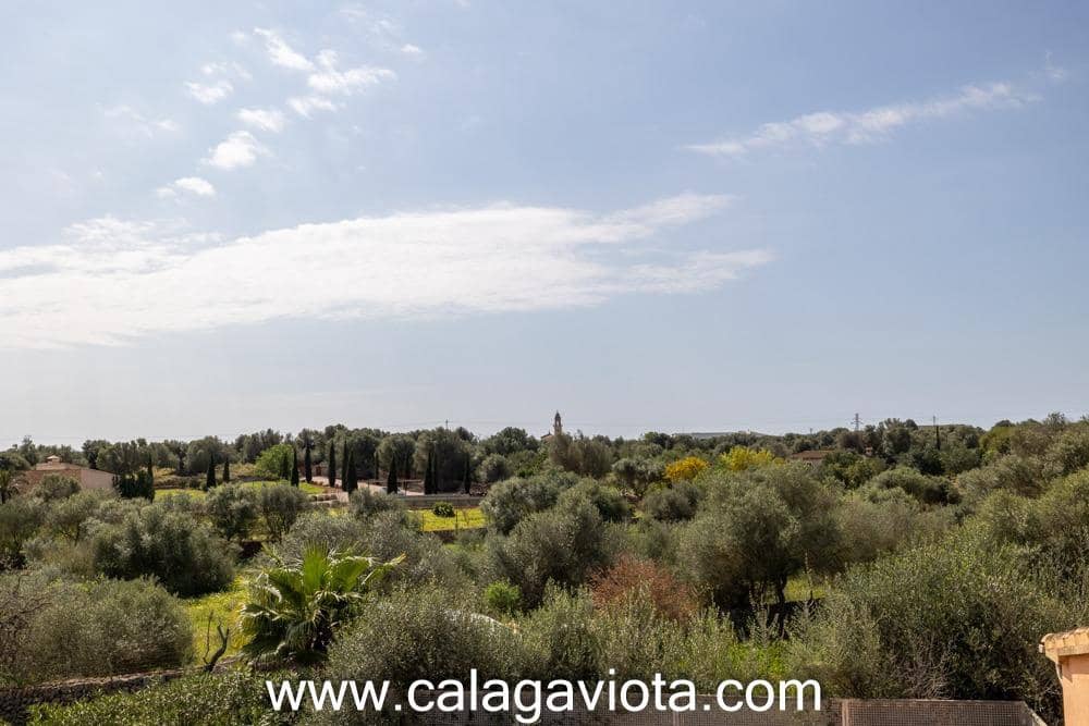 2 camera da letto Finca/Casa di Campagna in vendita in Ses Salines - 1.199.000 € (Rif: 8911191)