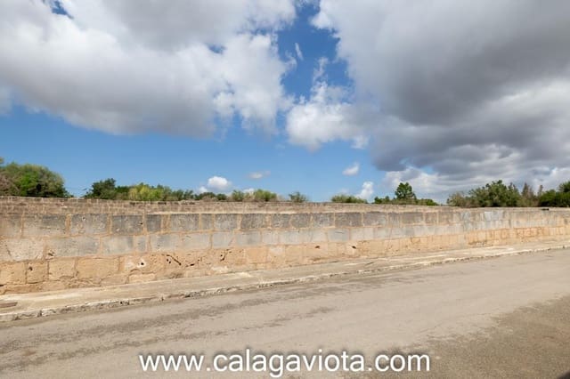 Działka budowlana na sprzedaż w Ses Salines - 1 090 000 € (Ref: 8986002)