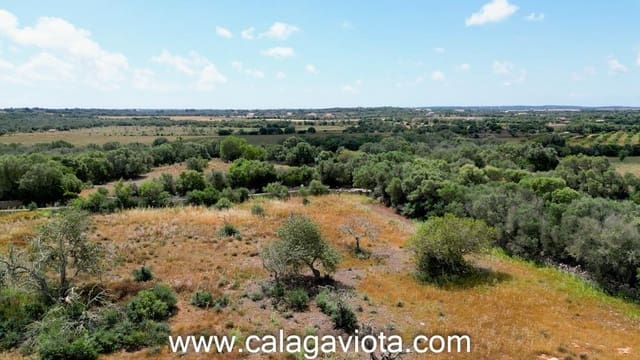 Grond te koop in Ses Salines - € 345.000 (Ref: 8992401)