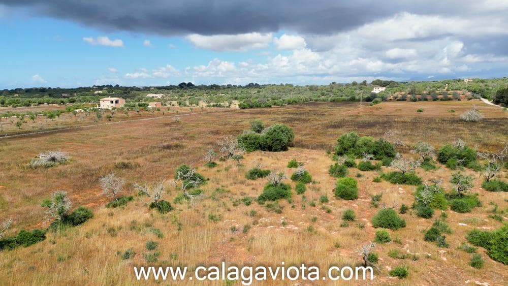 Grond te koop in Ses Salines - € 345.000 (Ref: 8992401)