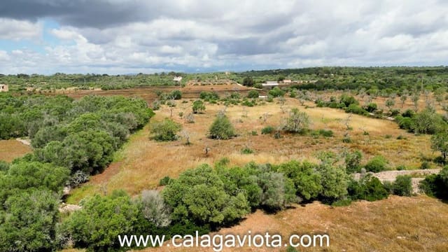 Rakentamaton maa myytävänä paikassa Ses Salines - 345 000 € (Ref: 8992401)