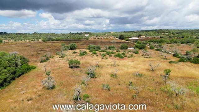 Rakentamaton maa myytävänä paikassa Ses Salines - 345 000 € (Ref: 8992401)