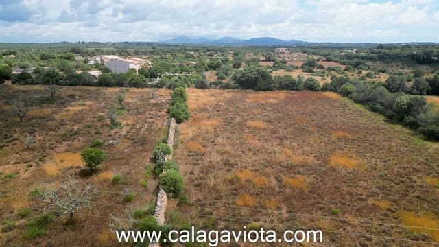 Grond te koop in Ses Salines - € 325.000 (Ref: 9031618)