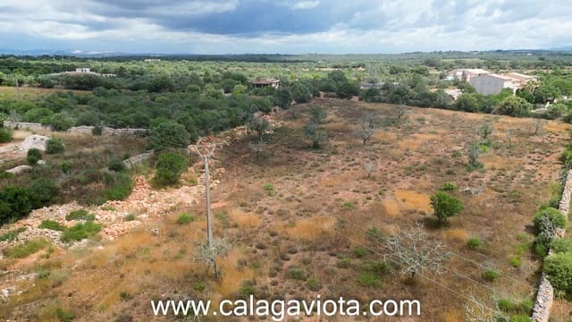 Grond te koop in Ses Salines - € 325.000 (Ref: 9031618)