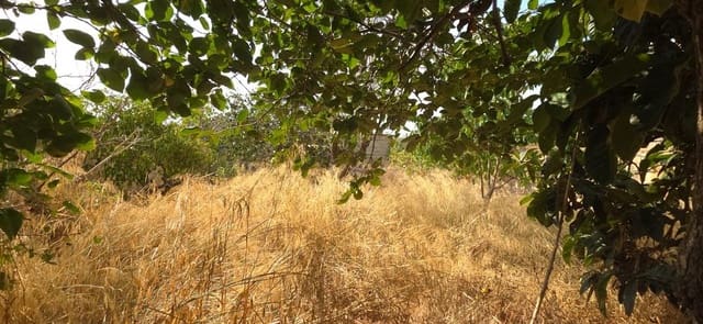 Building Plot for sale in Ses Salines - € 320,000 (Ref: 9197758)