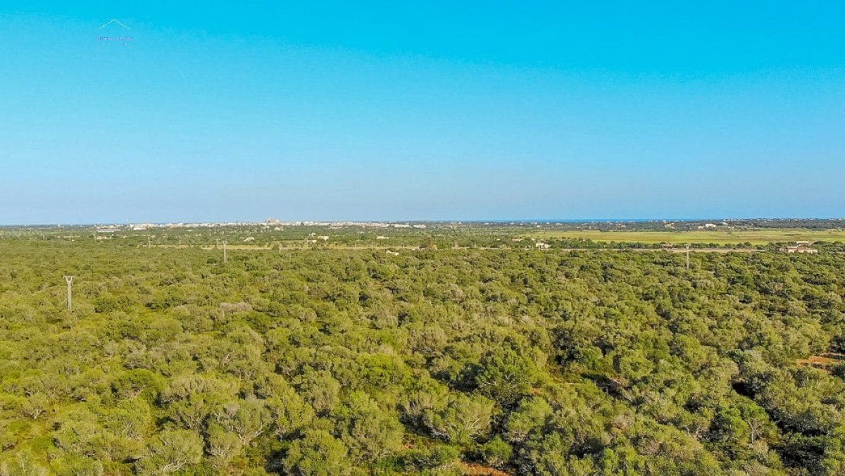 Grunde uden byggetilladelser til salg i Santanyi - € 3.800.000 (Ref: 9232587)