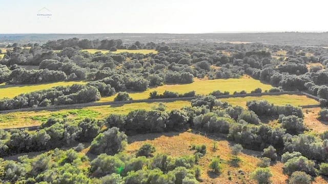 Undeveloped Land for sale in Santanyí - € 3,800,000 (Ref: 9232587)