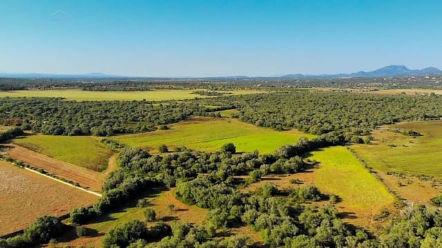 Undeveloped Land for sale in Santanyí - € 3,800,000 (Ref: 9232587)