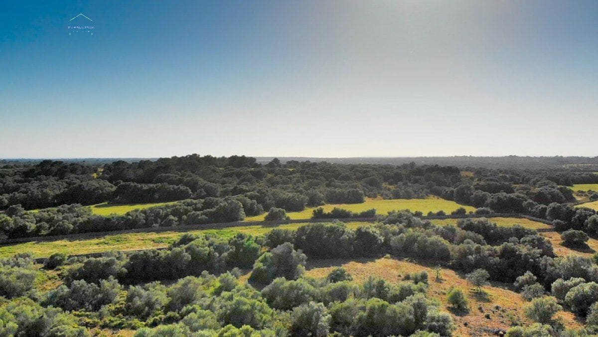 Grunde uden byggetilladelser til salg i Santanyi - € 3.800.000 (Ref: 9232587)