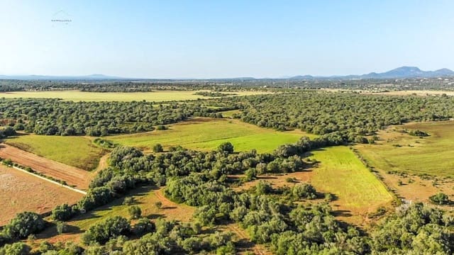 Undeveloped Land for sale in Santanyí - € 3,800,000 (Ref: 9232587)