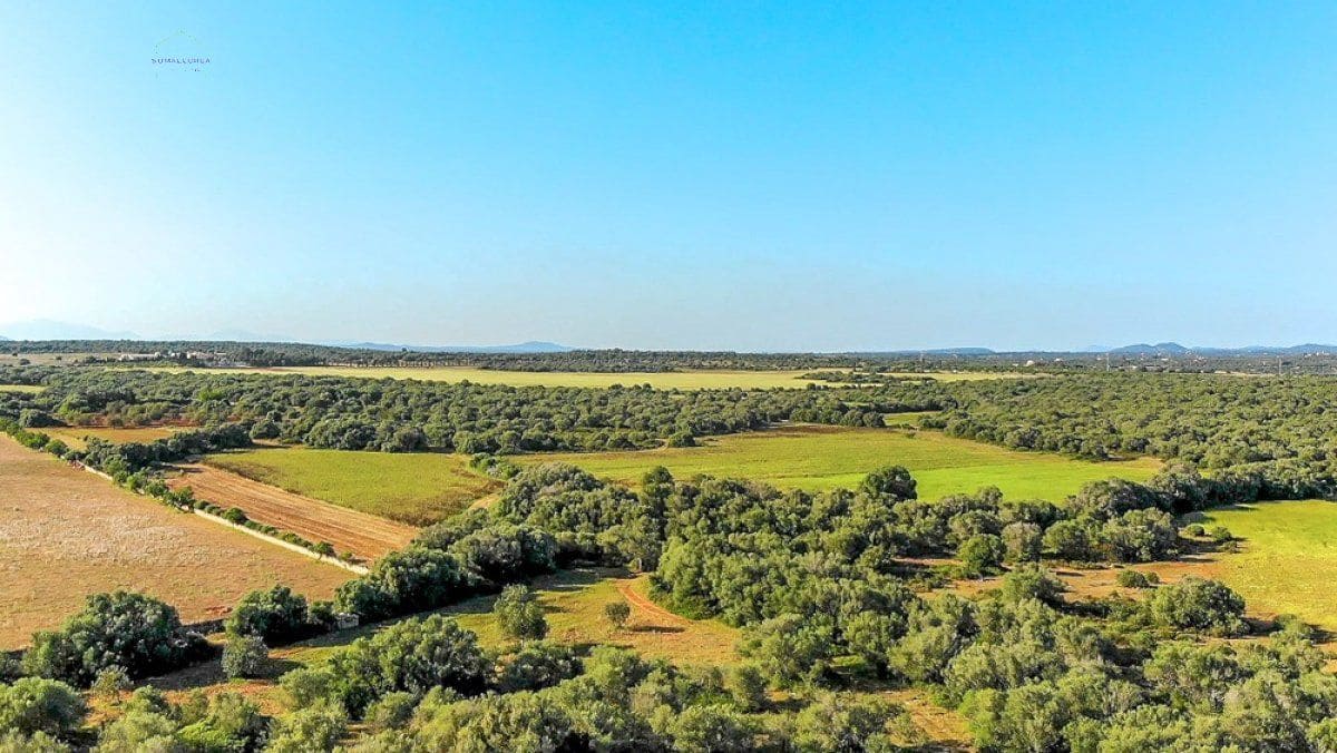 Grunde uden byggetilladelser til salg i Santanyi - € 3.800.000 (Ref: 9232587)