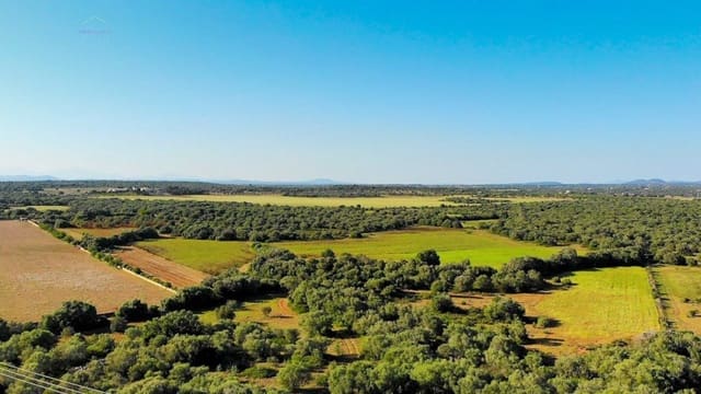 Undeveloped Land for sale in Santanyí - € 3,800,000 (Ref: 9232587)
