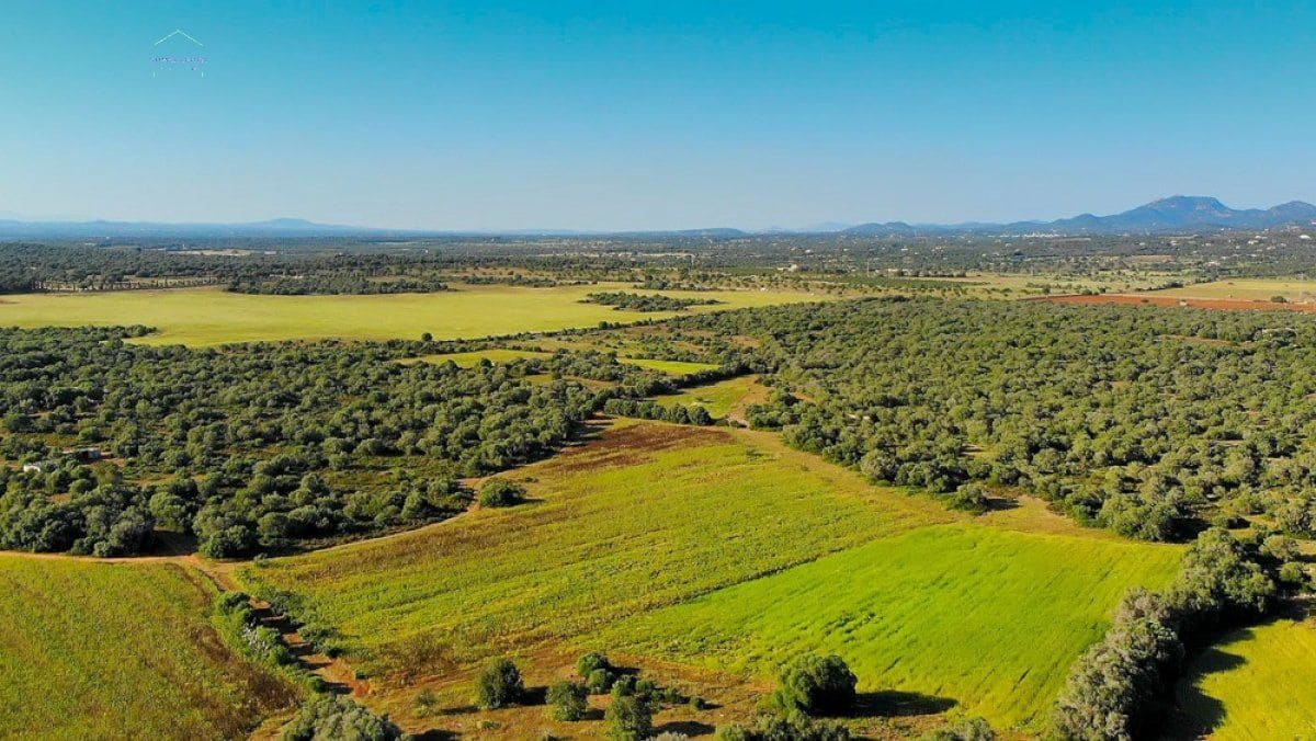 Grunde uden byggetilladelser til salg i Santanyi - € 3.800.000 (Ref: 9232587)