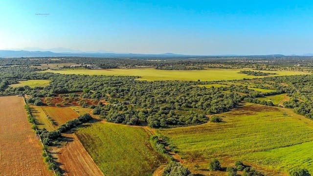 Undeveloped Land for sale in Santanyí - € 3,800,000 (Ref: 9232587)