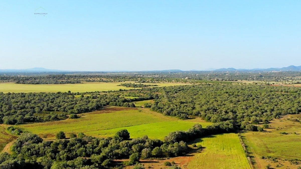 Grunde uden byggetilladelser til salg i Santanyi - € 3.800.000 (Ref: 9232587)