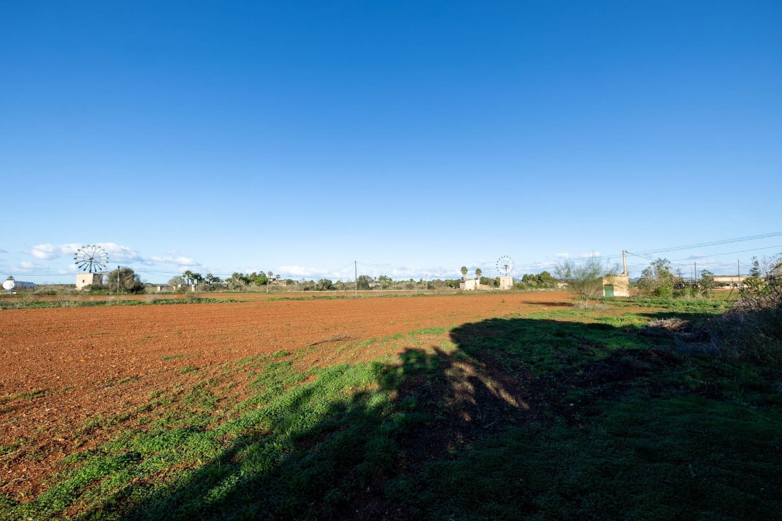 Finca/Casa Rural de 8 habitaciones en Campos en venta con garaje - 1.250.000 € (Ref: 9456290)