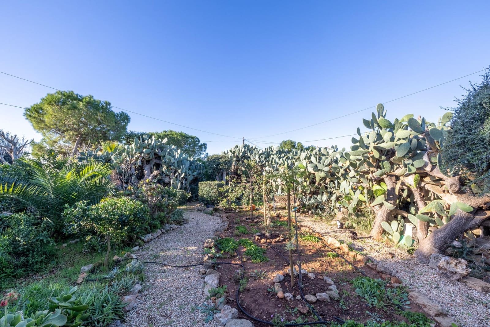 Finca/Casa Rural de 8 habitaciones en Campos en venta con garaje - 1.250.000 € (Ref: 9456290)