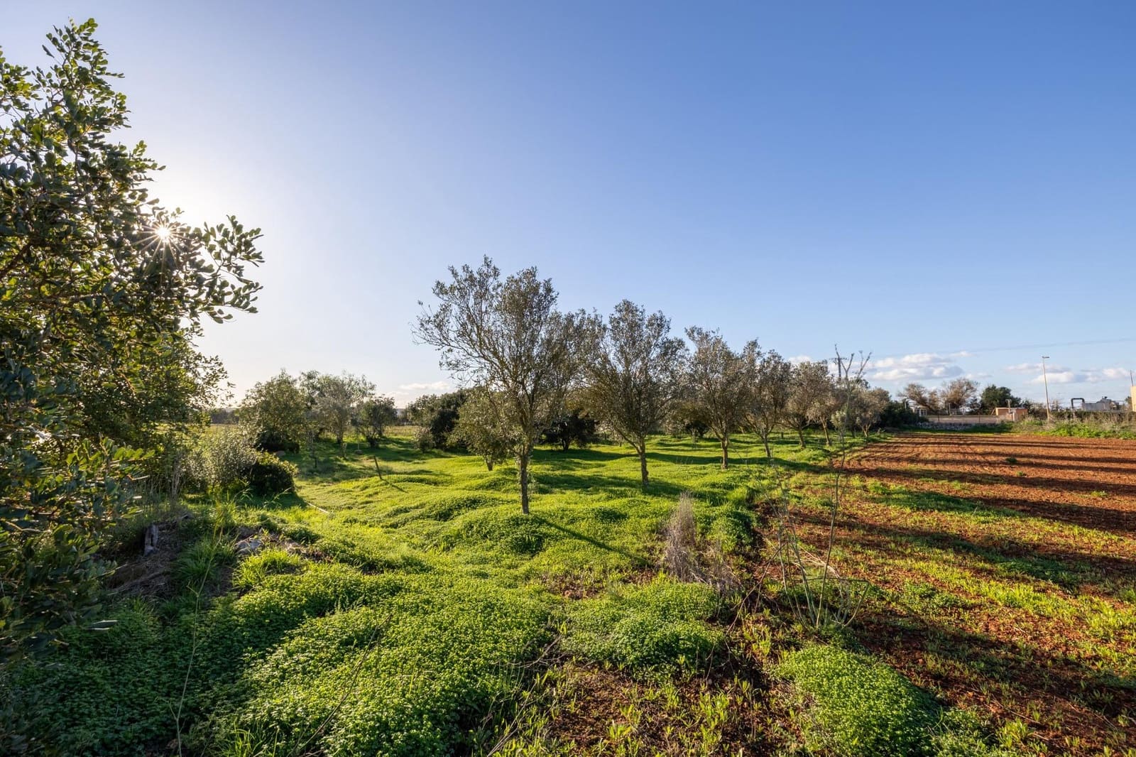 Finca/Casa Rural de 8 habitaciones en Campos en venta con garaje - 1.250.000 € (Ref: 9456290)