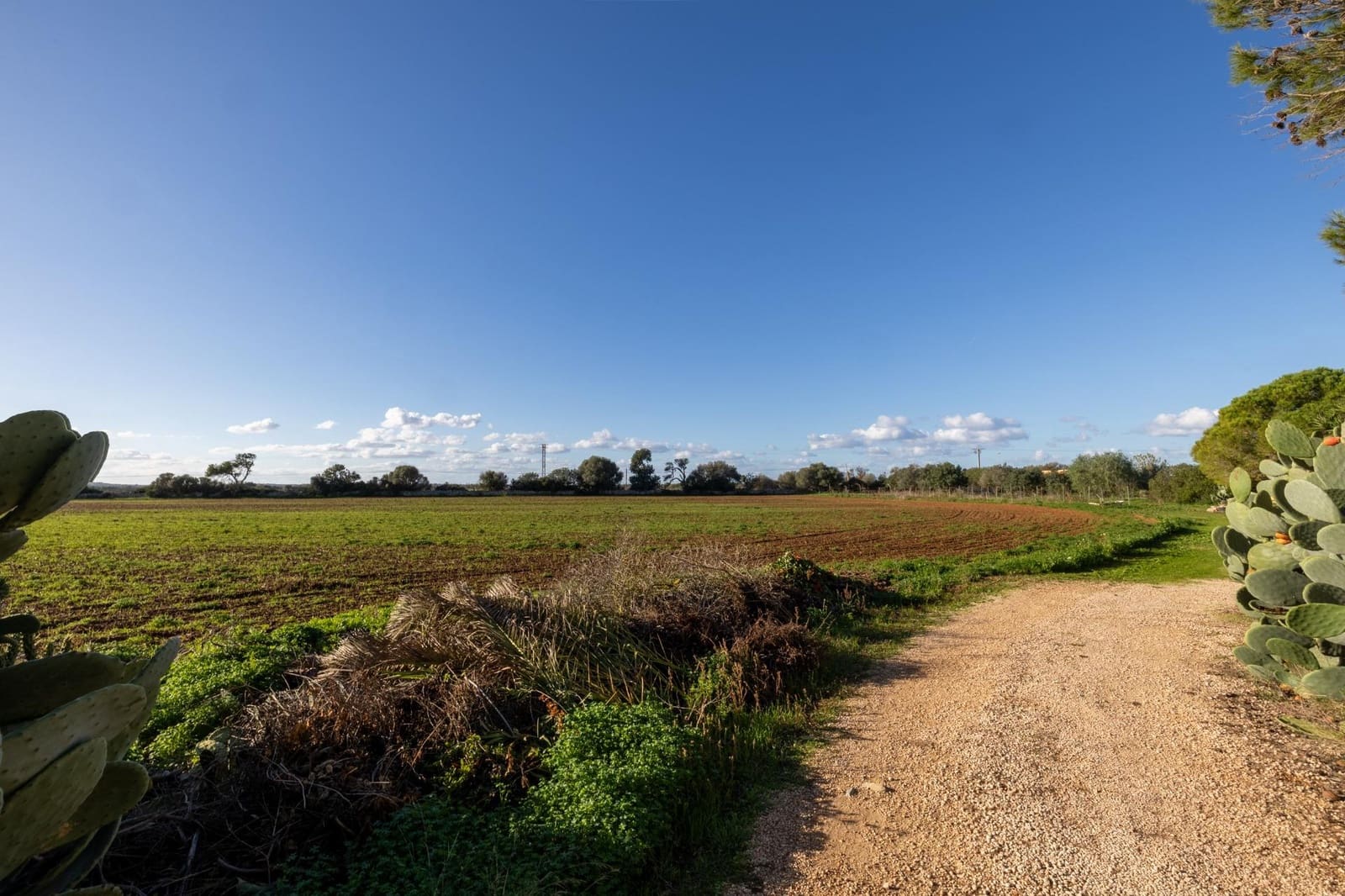 Finca/Casa Rural de 8 habitaciones en Campos en venta con garaje - 1.250.000 € (Ref: 9456290)