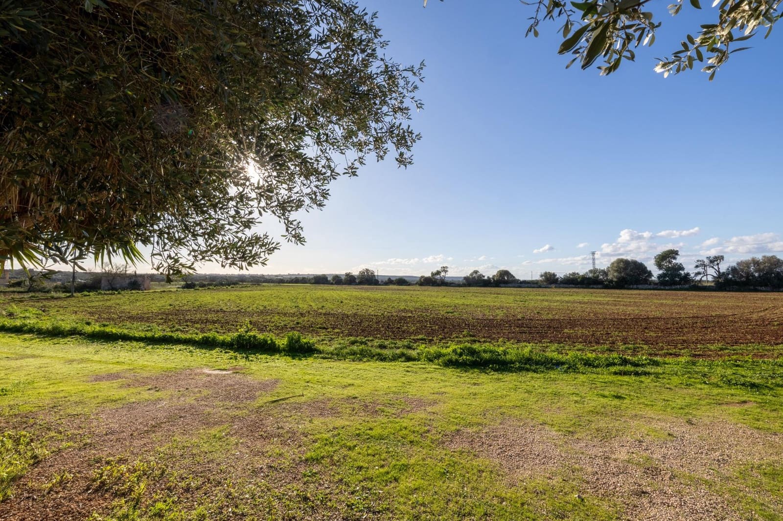 Finca/Casa Rural de 8 habitaciones en Campos en venta con garaje - 1.250.000 € (Ref: 9456290)