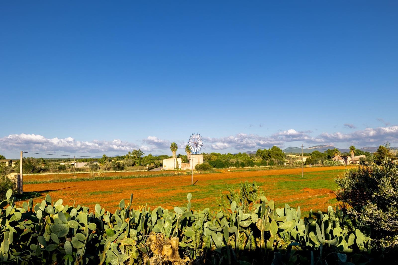 Finca/Casa Rural de 8 habitaciones en Campos en venta con garaje - 1.250.000 € (Ref: 9456290)