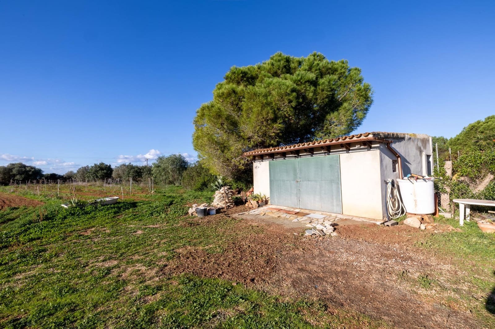 Finca/Casa Rural de 8 habitaciones en Campos en venta con garaje - 1.250.000 € (Ref: 9456290)
