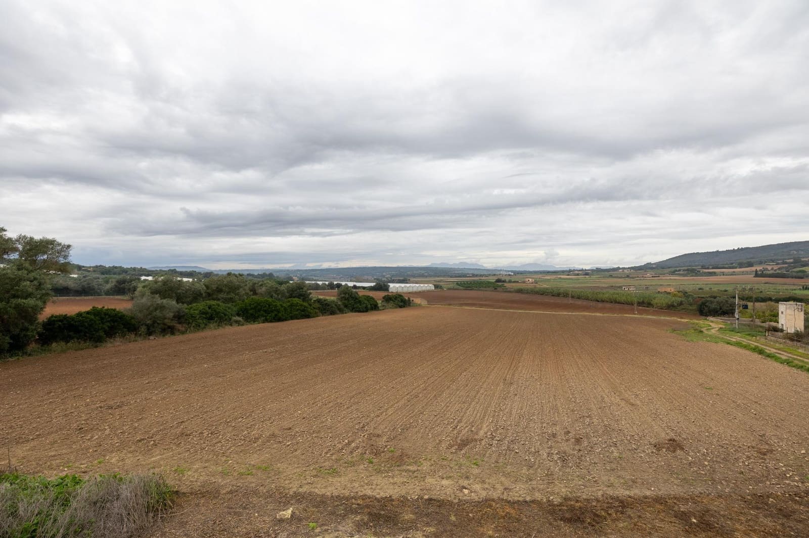 Villa te koop in Manacor - € 1.200.000 (Ref: 9630021)