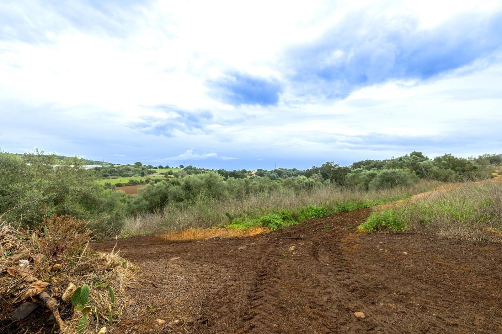 Villa te koop in Manacor - € 1.200.000 (Ref: 9630021)