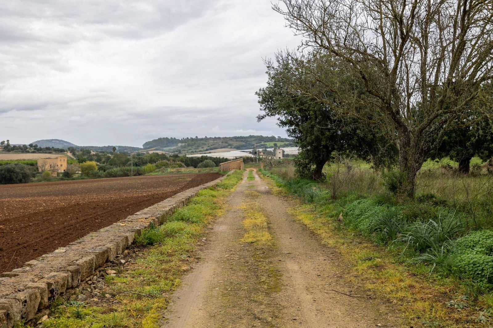 Villa te koop in Manacor - € 1.200.000 (Ref: 9630021)