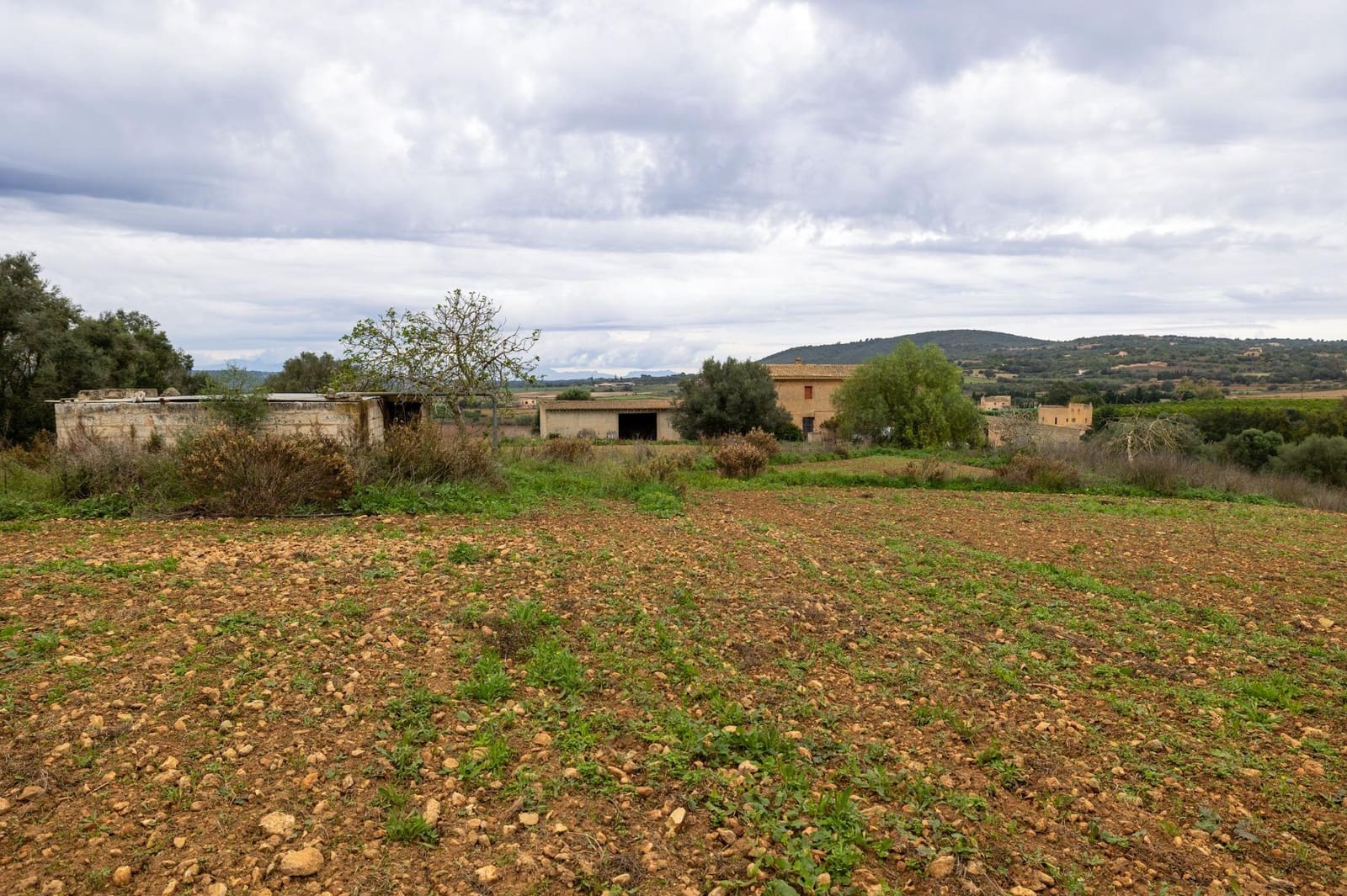 Villa te koop in Manacor - € 1.200.000 (Ref: 9630021)