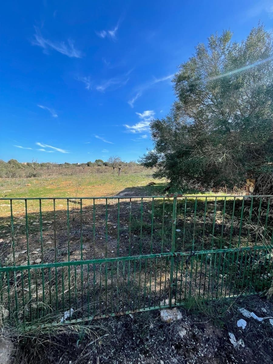 Landgrundstück zu verkaufen in Ses Salines - 750.000 € (Ref: 9634329)