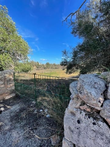 Landgrundstück zu verkaufen in Ses Salines - 750.000 € (Ref: 9634329)