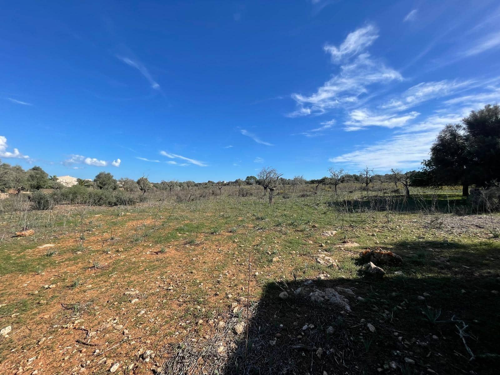 Landgrundstück zu verkaufen in Ses Salines - 750.000 € (Ref: 9634329)