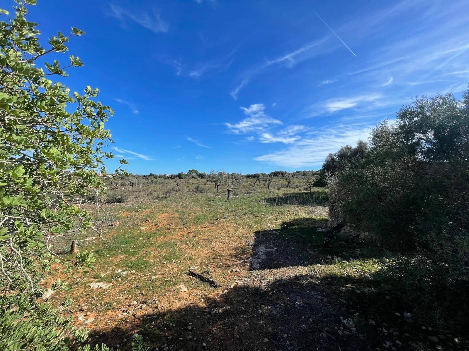 Landgrundstück zu verkaufen in Ses Salines - 750.000 € (Ref: 9634329)