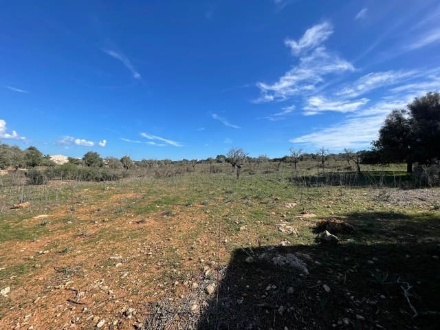 Landgrundstück zu verkaufen in Ses Salines - 750.000 € (Ref: 9634329)