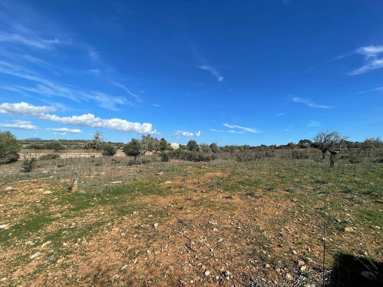 Landgrundstück zu verkaufen in Ses Salines - 750.000 € (Ref: 9634329)