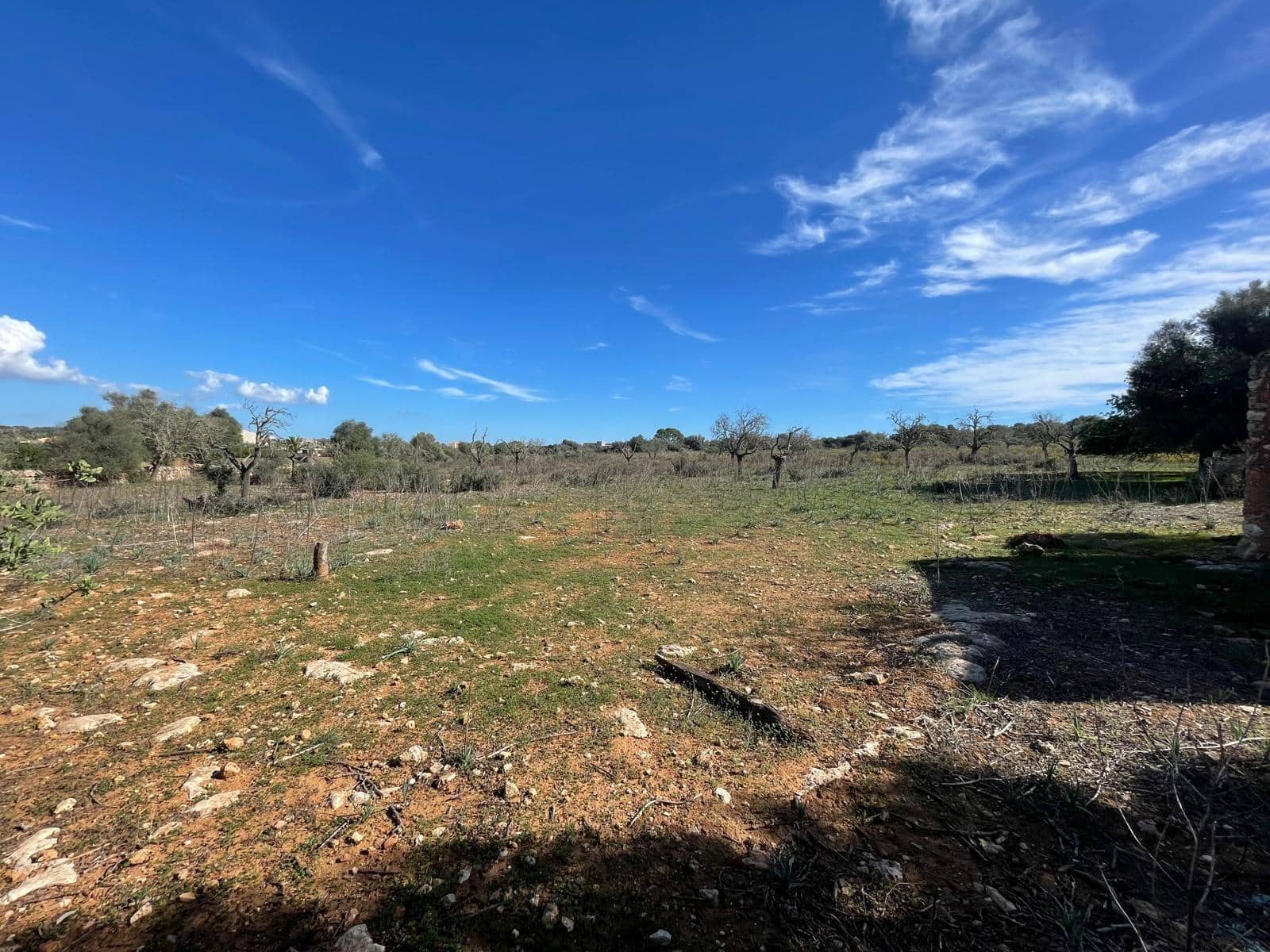 Landgrundstück zu verkaufen in Ses Salines - 750.000 € (Ref: 9634329)