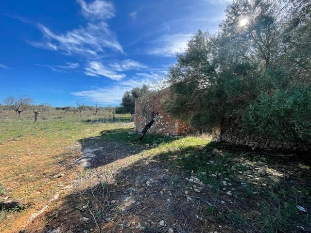 Landgrundstück zu verkaufen in Ses Salines - 750.000 € (Ref: 9634329)