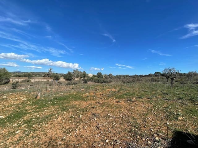 Landgrundstück zu verkaufen in Ses Salines - 750.000 € (Ref: 9634329)