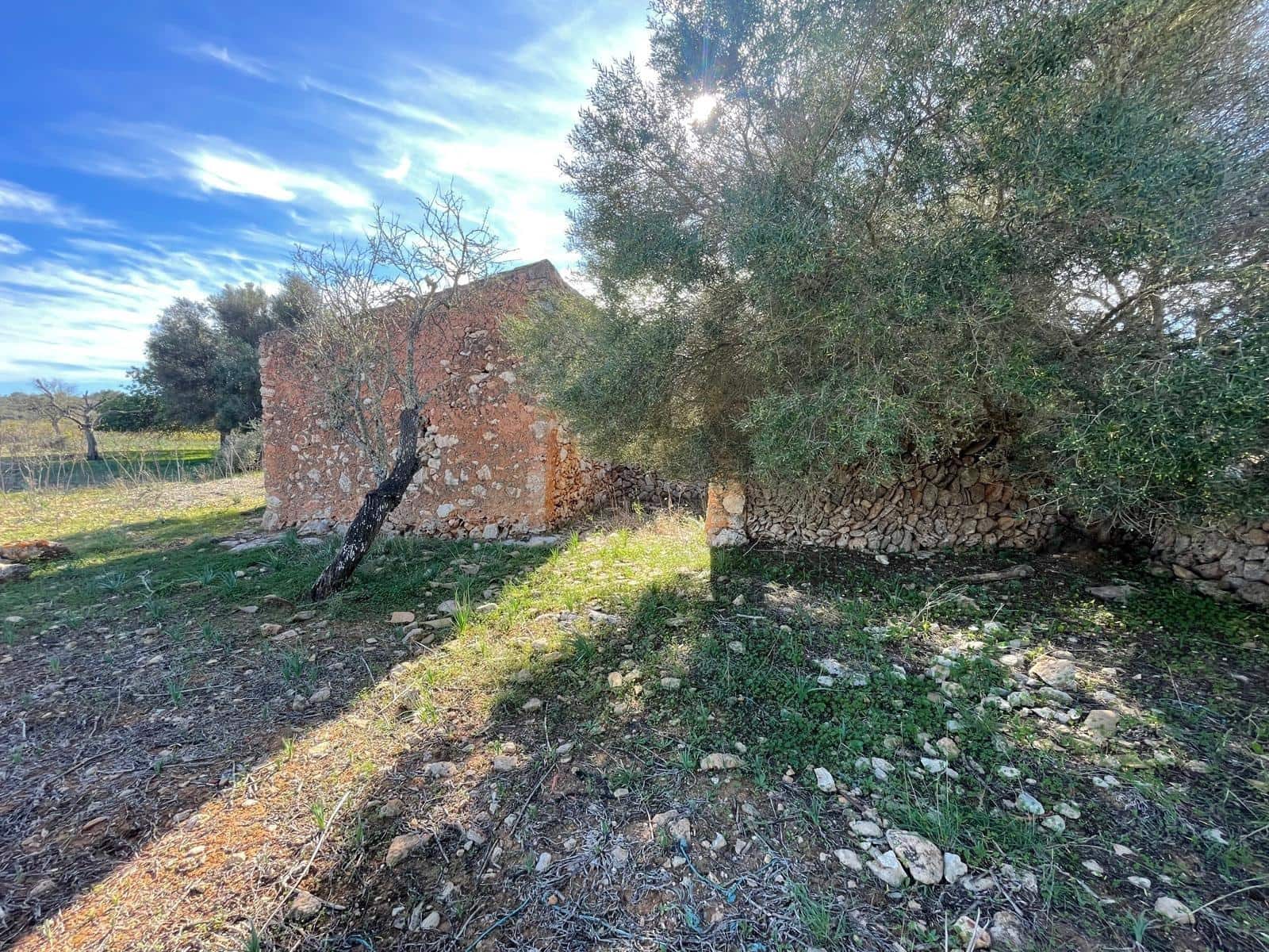 Landgrundstück zu verkaufen in Ses Salines - 750.000 € (Ref: 9634329)