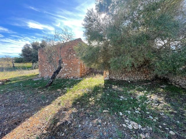 Landgrundstück zu verkaufen in Ses Salines - 750.000 € (Ref: 9634329)