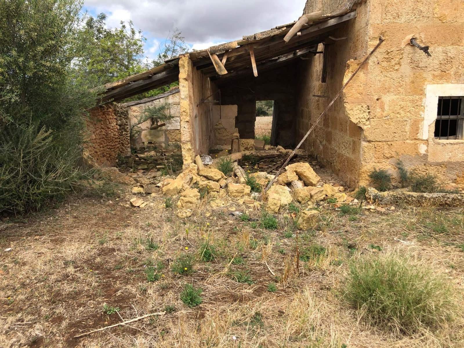 Undeveloped Land for sale in Llubi - € 295,000 (Ref: 9639500)