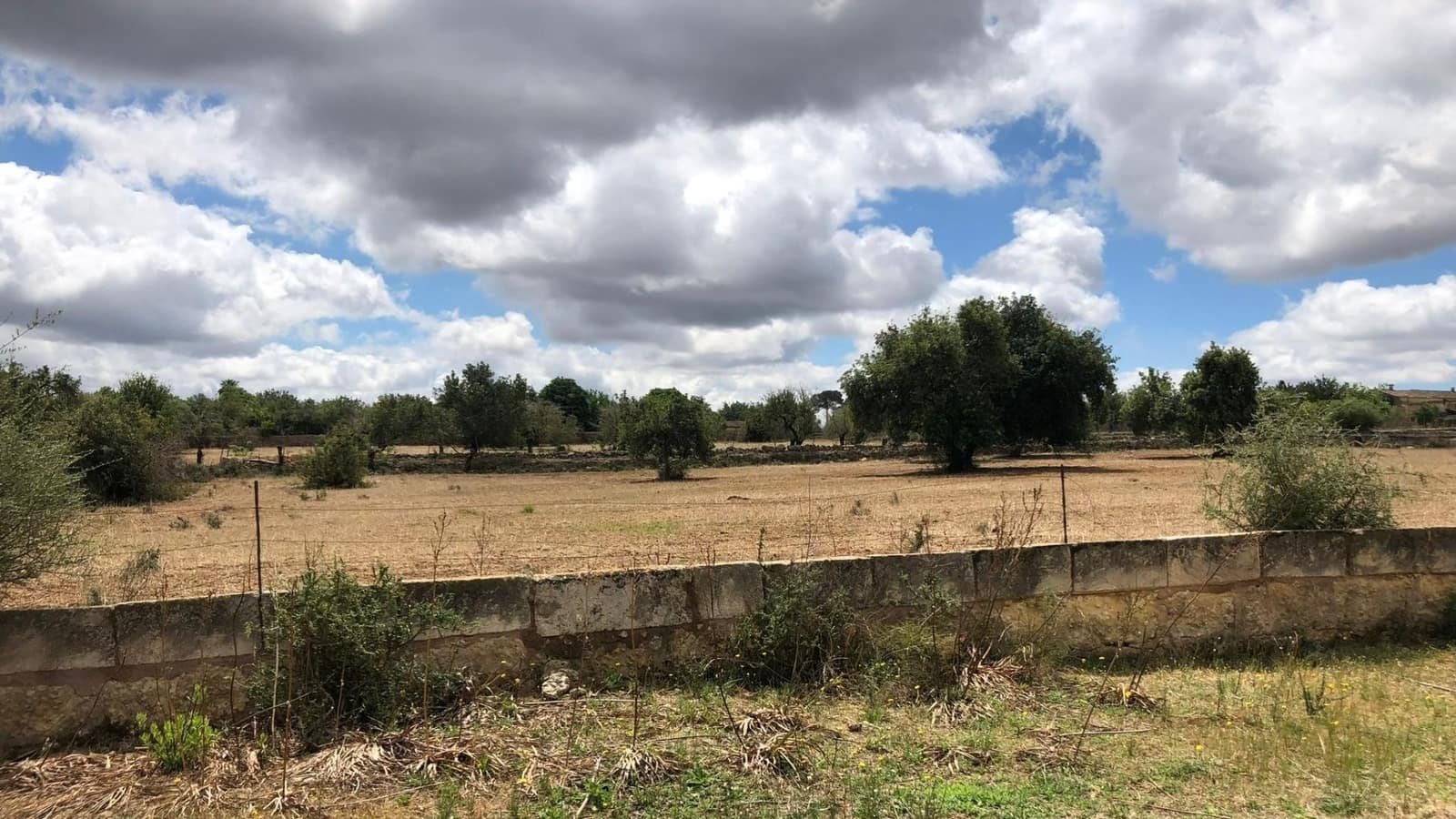 Terreno Non Edificato in vendita in Inca - 290.000 € (Rif: 9639501)