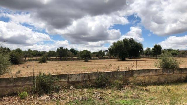 Terreno Non Edificato in vendita in Inca - 290.000 € (Rif: 9639501)