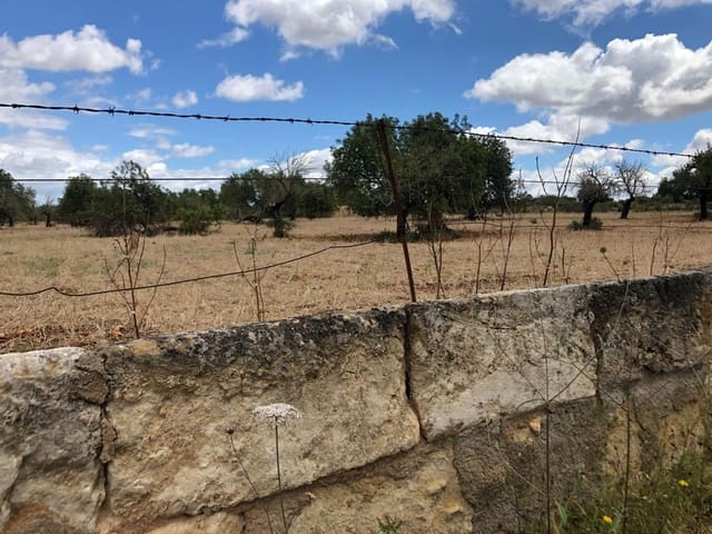 Terreno Non Edificato in vendita in Inca - 290.000 € (Rif: 9639501)