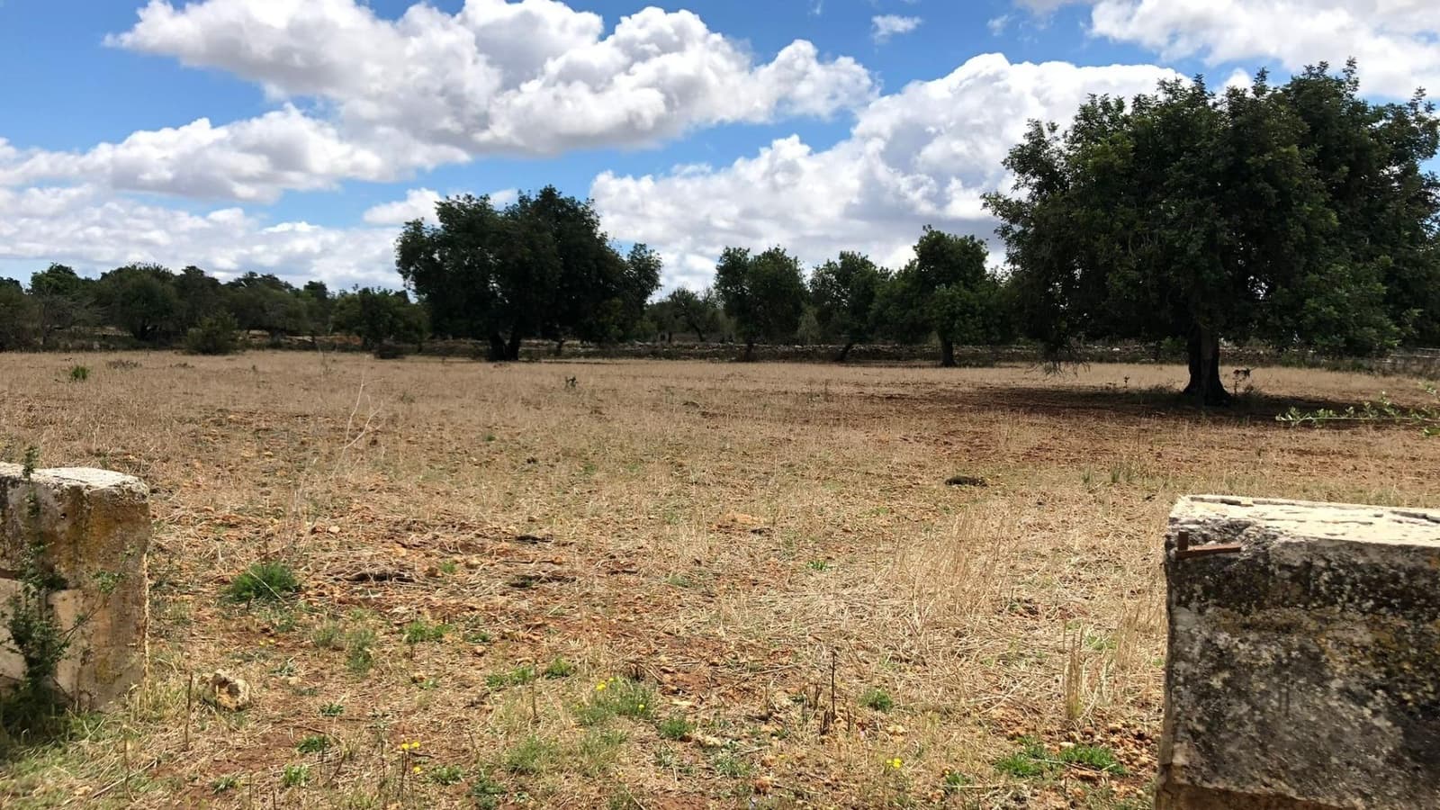 Terreno Non Edificato in vendita in Inca - 290.000 € (Rif: 9639501)